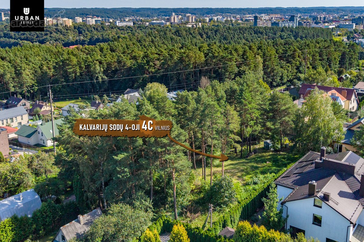 5.93 Arų Sklypas Su Brandžiomis Pušimis - nuotraukos Nr. 9