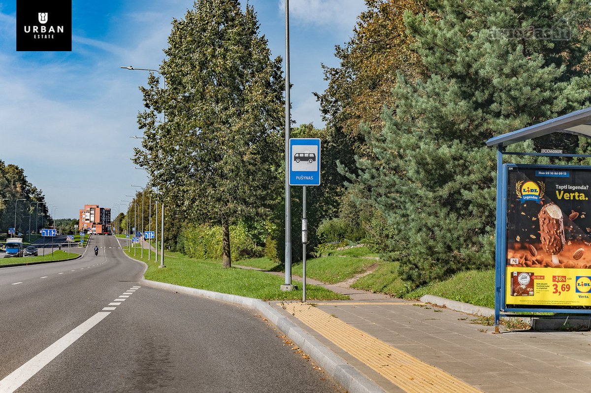 5.93 Arų Sklypas Su Brandžiomis Pušimis - nuotraukos Nr. 15