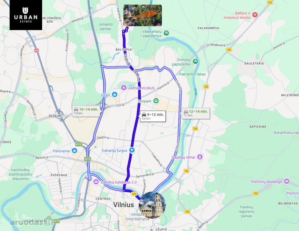 5.93 Arų Sklypas Su Brandžiomis Pušimis - nuotraukos Nr. 19