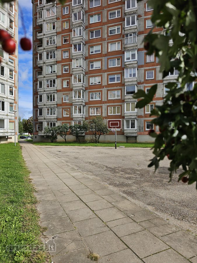 Greitas Įsikėlimas! - nuotraukos Nr. 20
