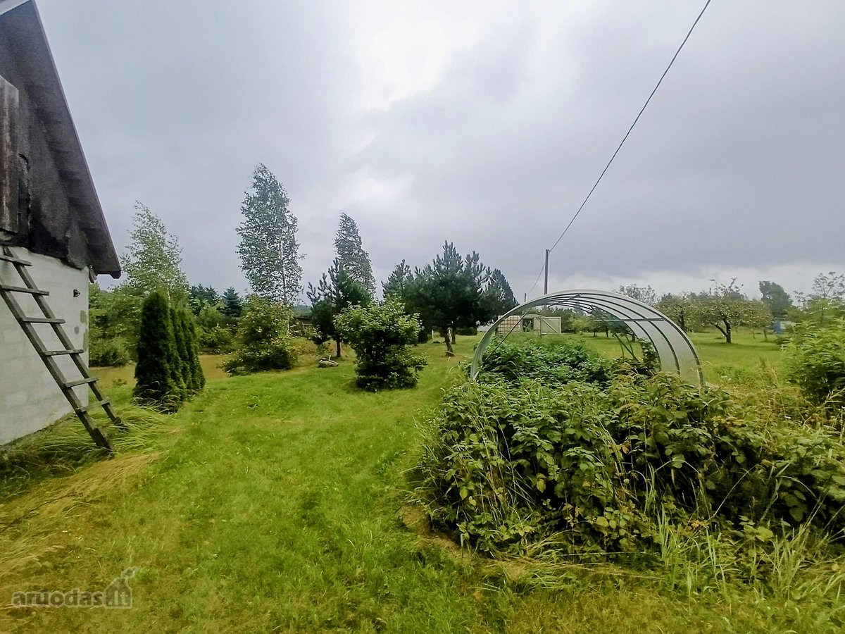 Privati Sodyba Prie Nevėžio – Tvenkinys, - nuotraukos Nr. 41