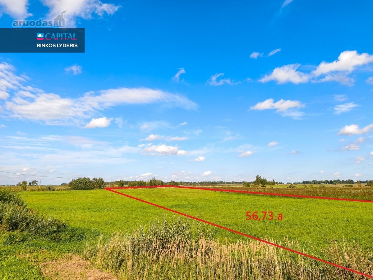 Parduodamas 56,73 Aro Sklypas Prie Upelio - nuotraukos Nr. 6