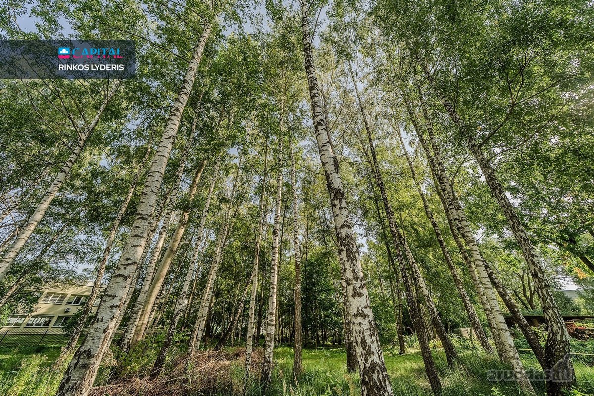 Parduodami du 41,46 ir 17,81 a. kitos - nuotraukos Nr. 6