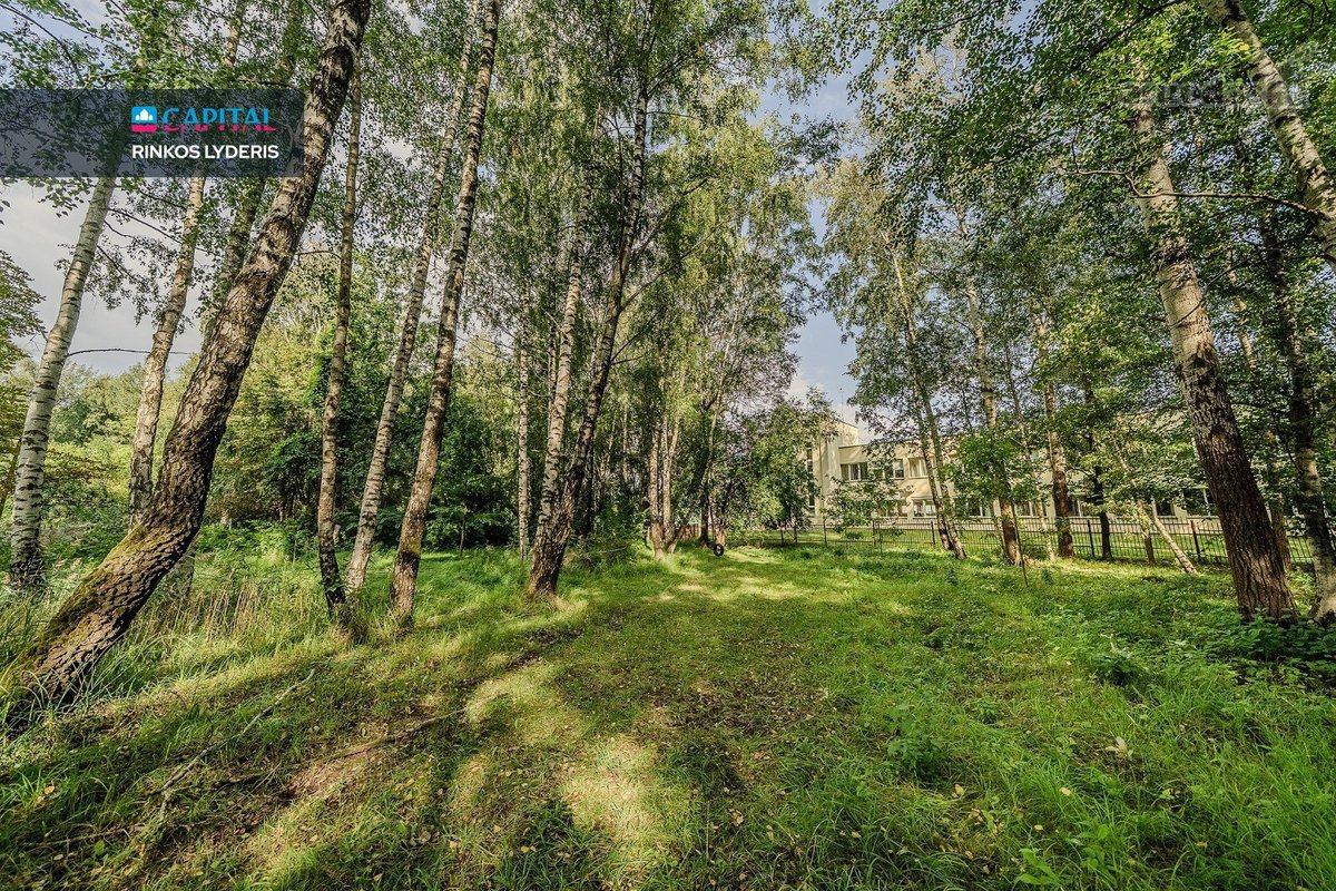 Parduodami du 41,46 ir 17,81 a. kitos - nuotraukos Nr. 9