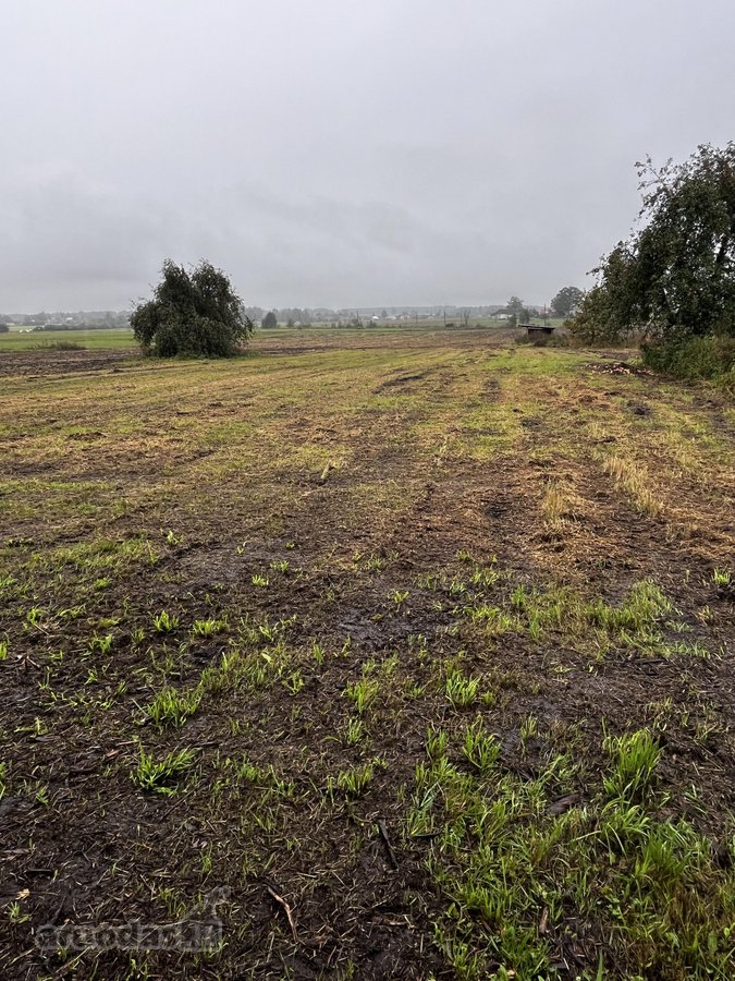 Parduodamas Erdvus 42 Arų Sklypas Su - nuotraukos Nr. 2