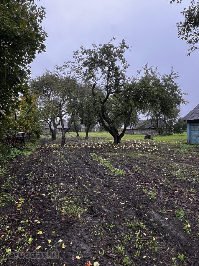 Parduodamas Erdvus 42 Arų Sklypas Su - nuotraukos Nr. 8