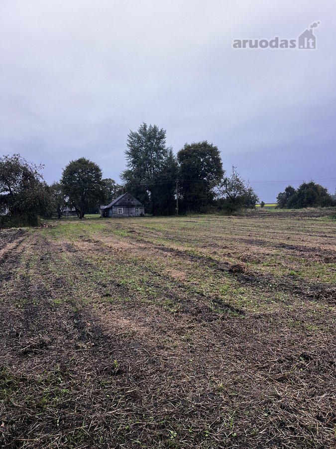 Parduodamas Erdvus 42 Arų Sklypas Su - nuotraukos Nr. 9