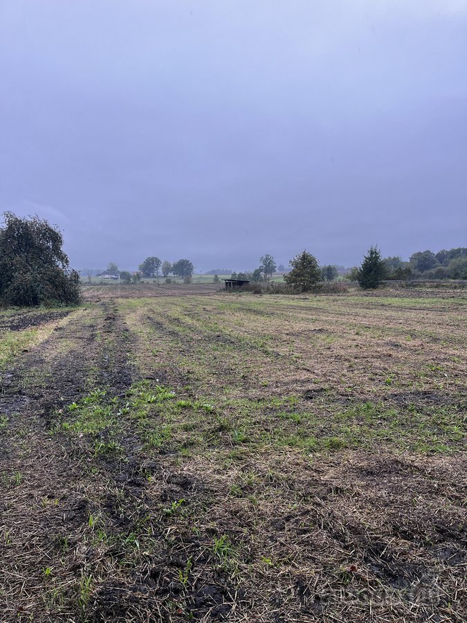 Parduodamas Erdvus 42 Arų Sklypas Su - nuotraukos Nr. 10