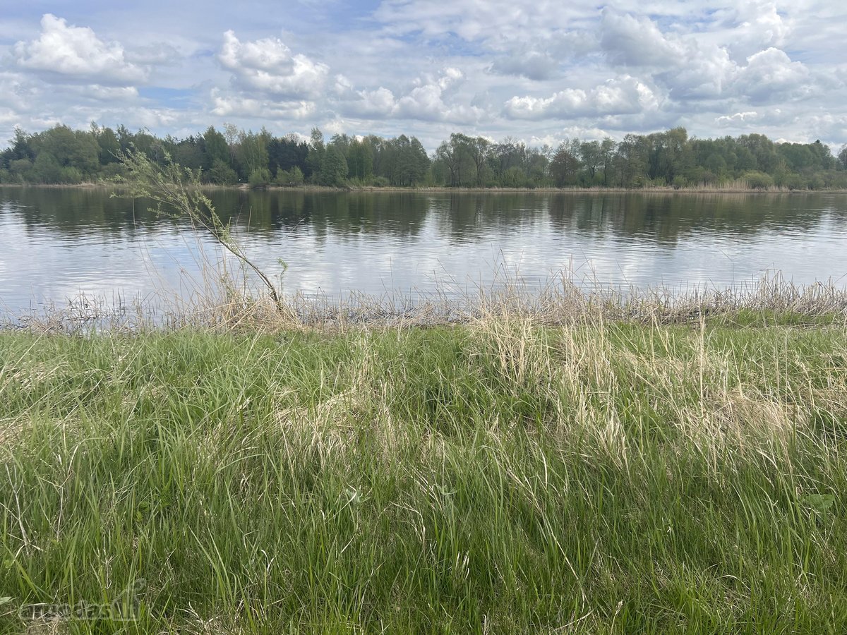 Parduodane sklypą prie Nemuno Atmatos) upės . - nuotraukos Nr. 4