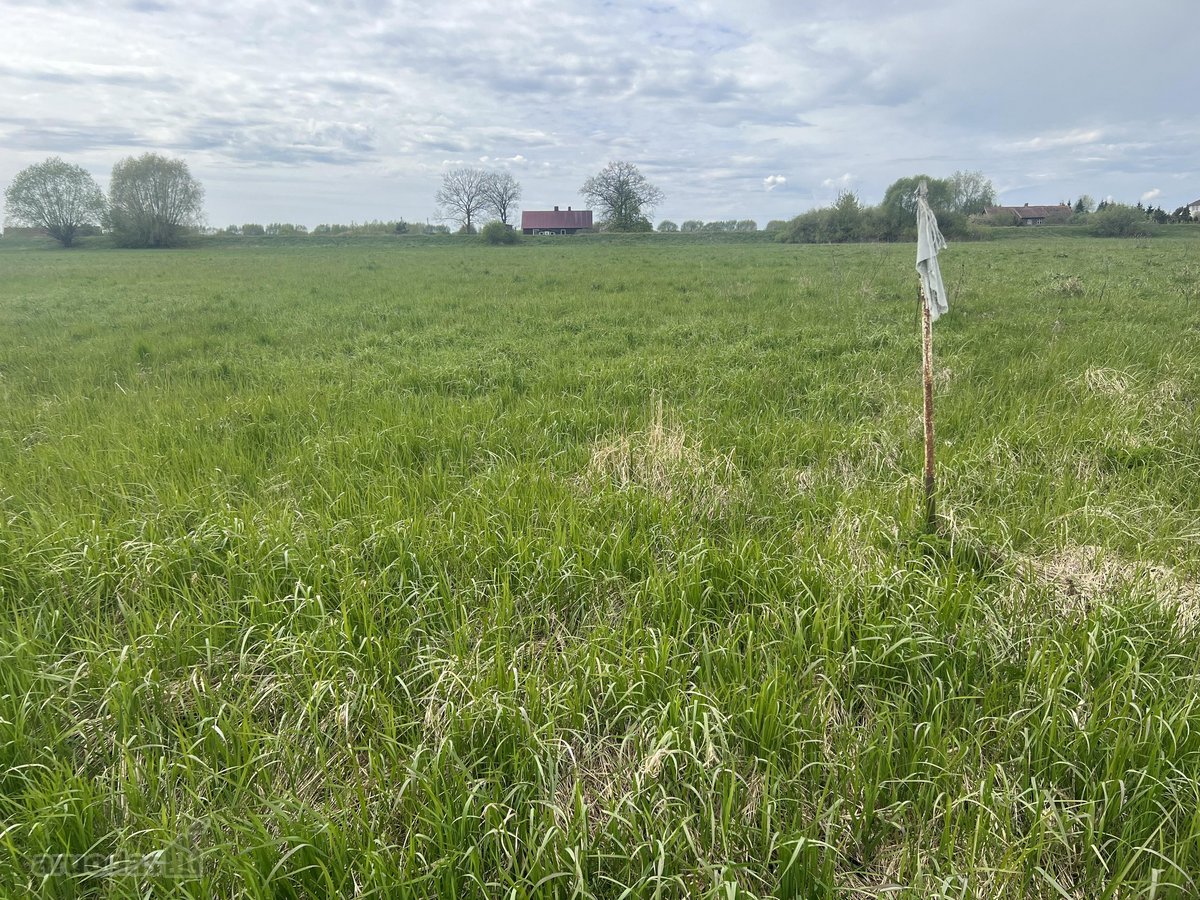 Parduodane sklypą prie Nemuno Atmatos) upės . - nuotraukos Nr. 5