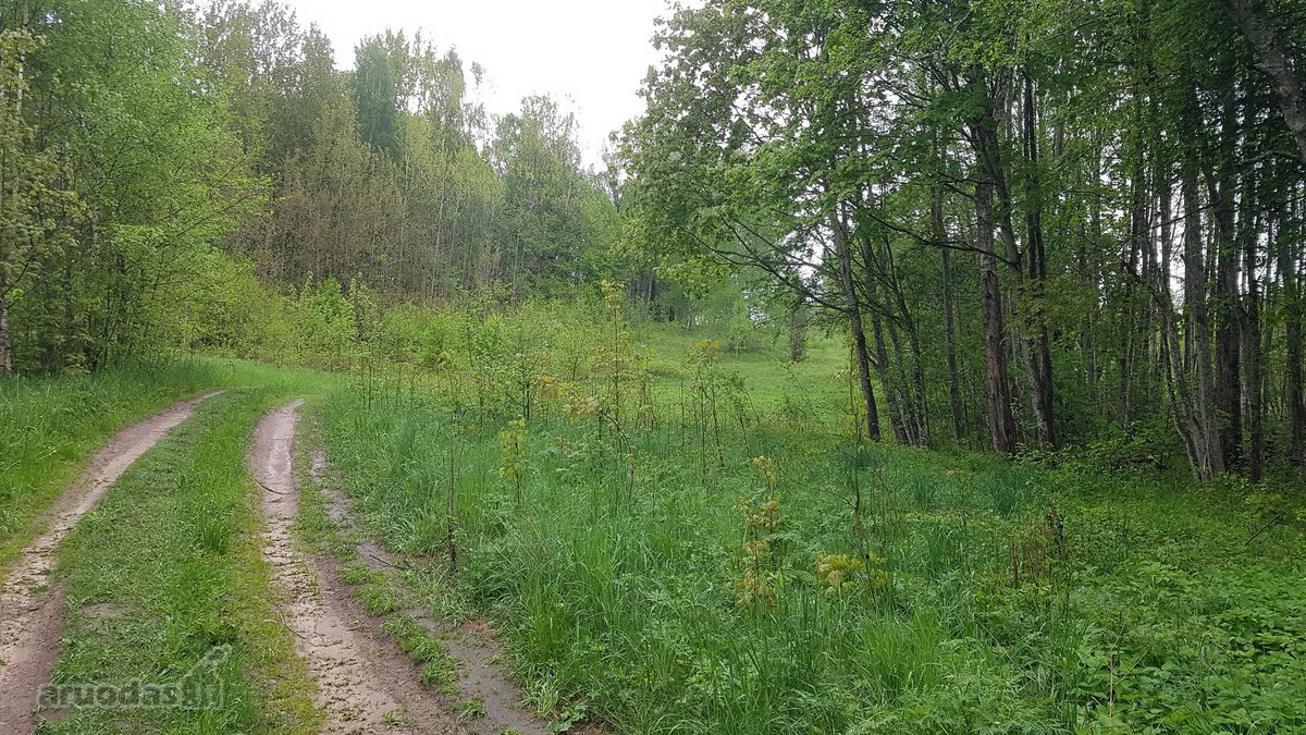 Išskirtinė 1 ha rekreacinė valda su 50 m - nuotraukos Nr. 2