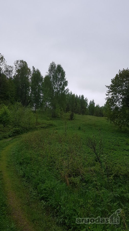 Išskirtinė 1 ha rekreacinė valda su 50 m - nuotraukos Nr. 3