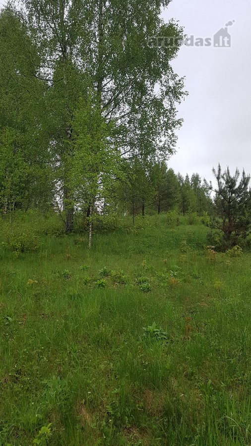 Išskirtinė 1 ha rekreacinė valda su 50 m - nuotraukos Nr. 4