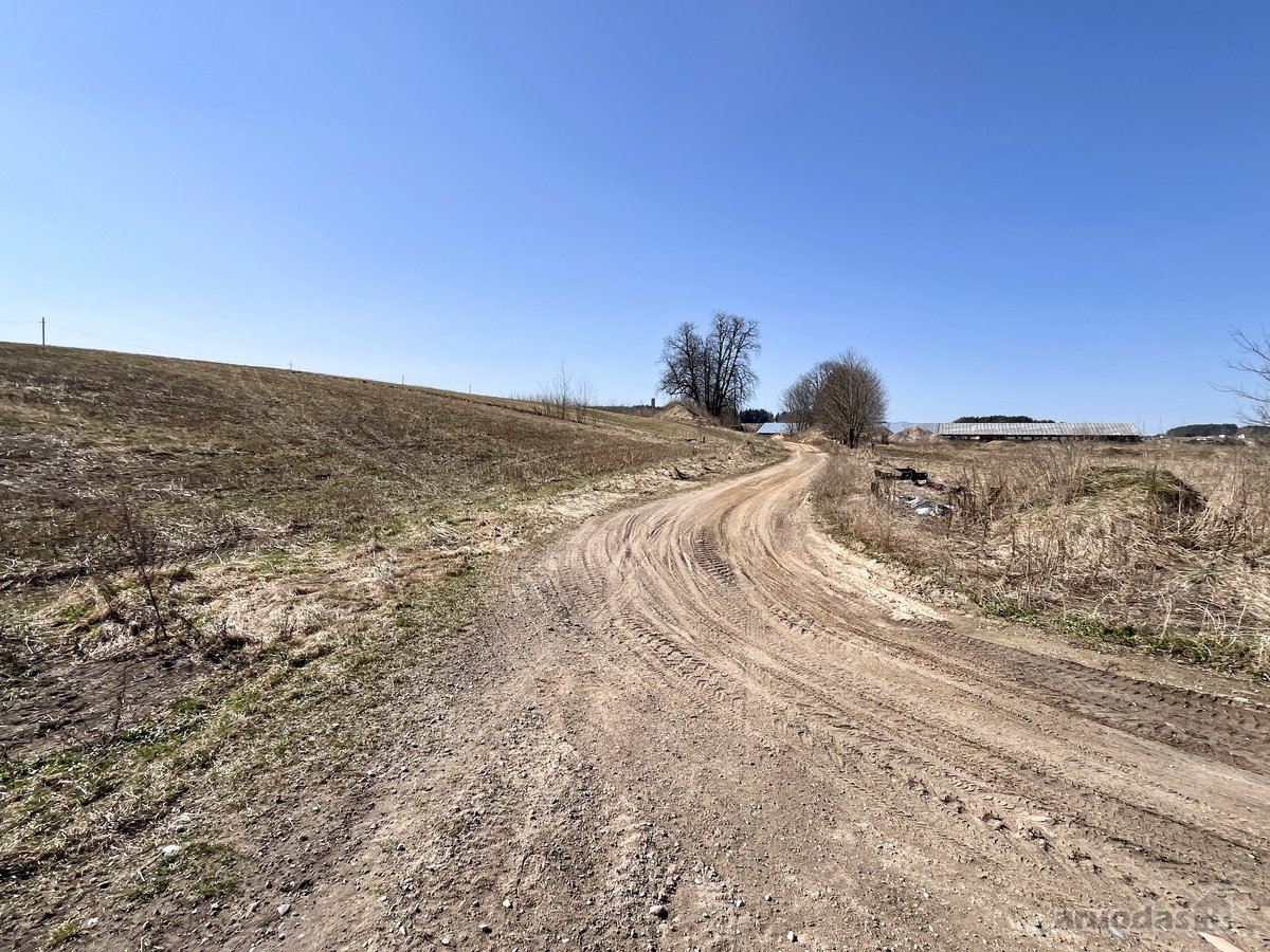 Nuomojamas 675 m² Mūrinis Sandėliavimo / - nuotraukos Nr. 13