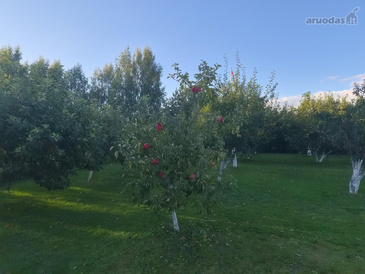 Parduodamas pilnai įrengtas dviejų aukštų - nuotraukos Nr. 22