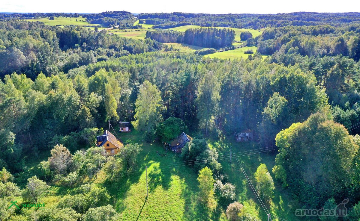 Siūlome įsigyti sodybą viename gražiausių - nuotraukos Nr. 7