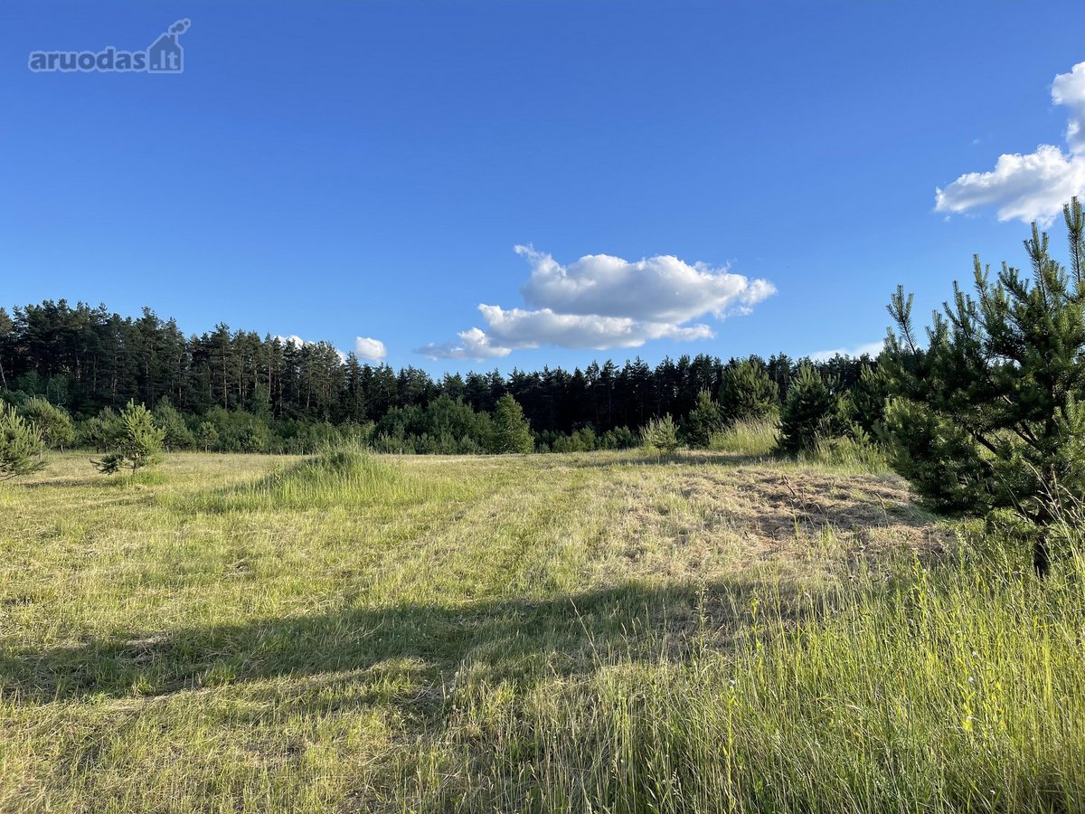 Parduodamas Sklypas Trakų Raj.,bakieriškės. - nuotraukos Nr. 4