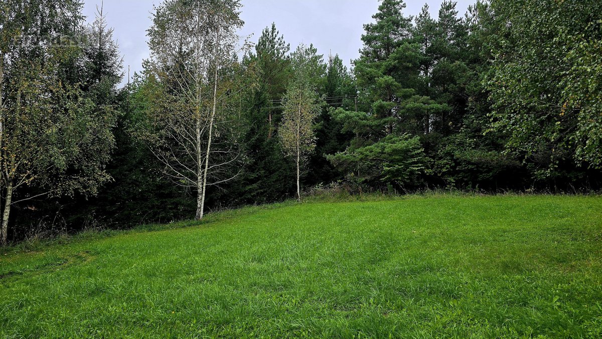 Parduodami 4 Namų Valdos Paskirties Žemės - nuotraukos Nr. 15