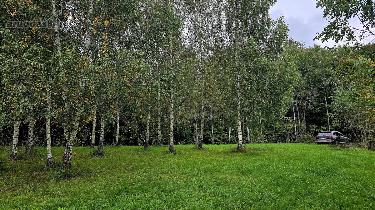 Parduodami 4 Namų Valdos Paskirties Žemės - nuotraukos Nr. 16
