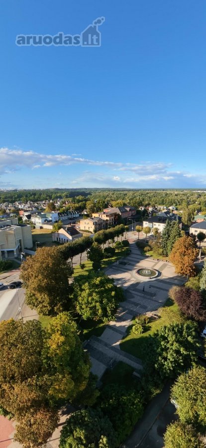 Parduodamas 0,1642 ha komercinės paskirties - nuotraukos Nr. 3