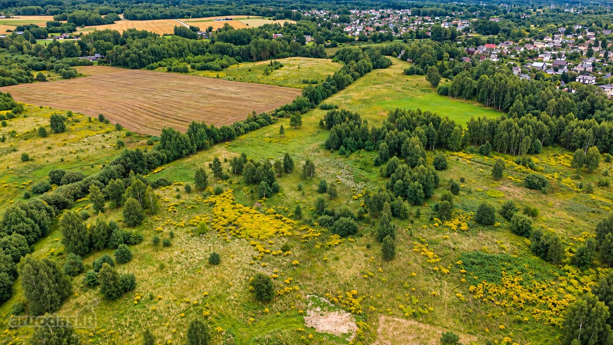 Parduodamas 7,5 A Žemės Sklypas Nendrių G., - nuotraukos Nr. 7