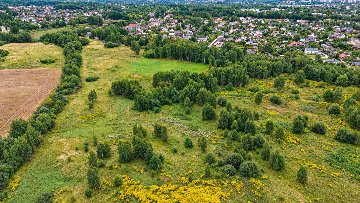Parduodamas 7,5 A Žemės Sklypas Nendrių G., - nuotraukos Nr. 11
