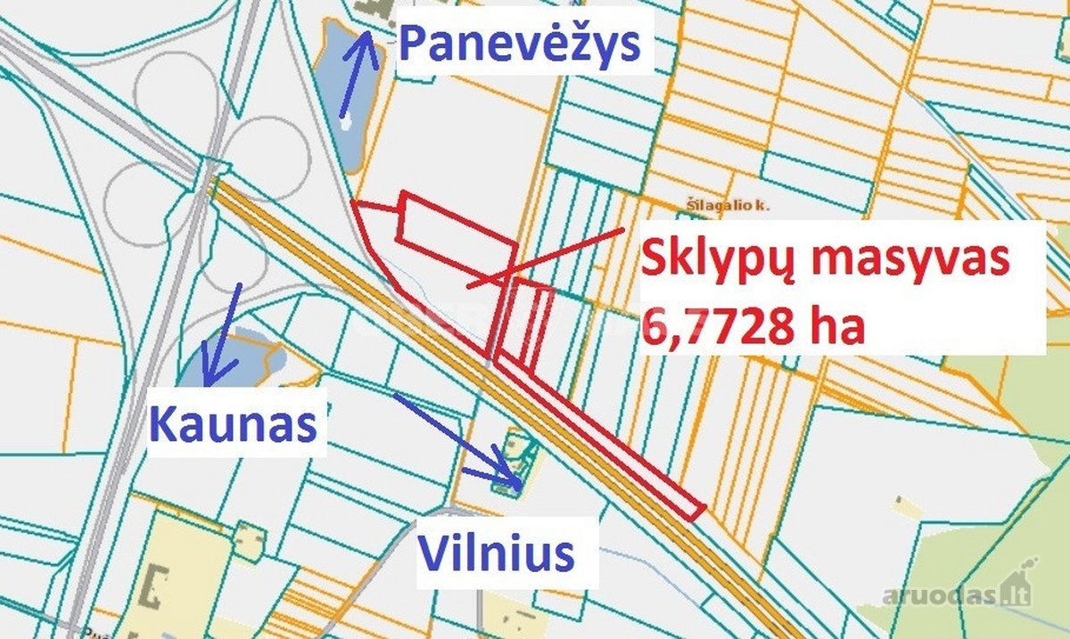 6,77 ha žemės sklypų masyvas prie Panevėžio - nuotraukos Nr. 6