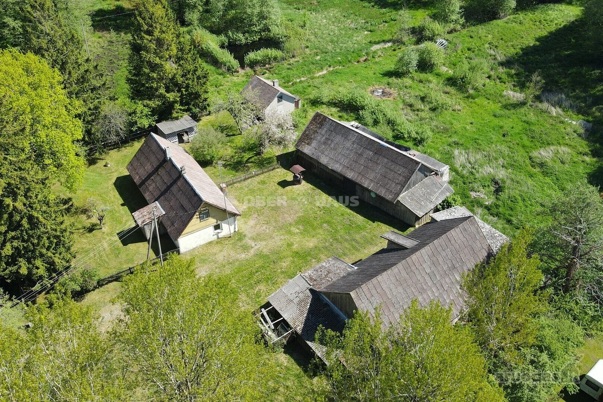 Išskirtinė Vieta Medžių Apsuptyje, 450 m Iki - nuotraukos Nr. 9