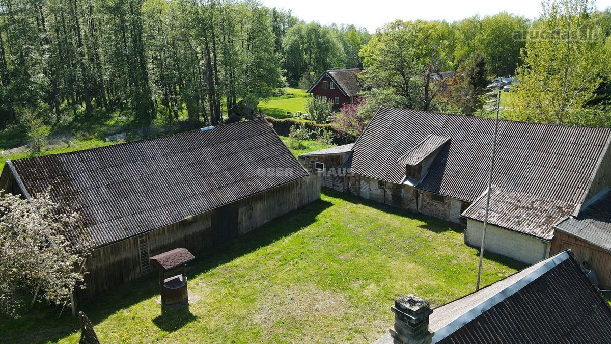 Išskirtinė Vieta Medžių Apsuptyje, 450 m Iki - nuotraukos Nr. 13
