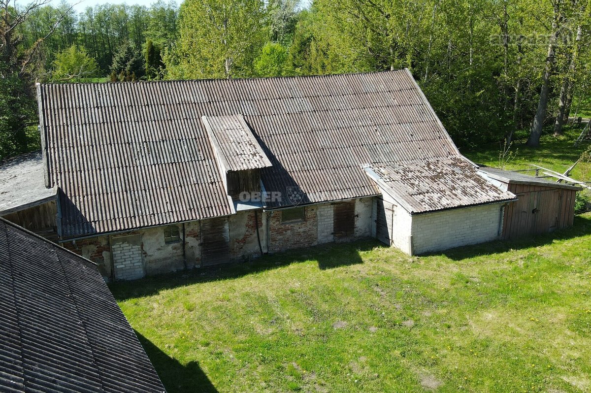 Išskirtinė Vieta Medžių Apsuptyje, 450 m Iki - nuotraukos Nr. 14