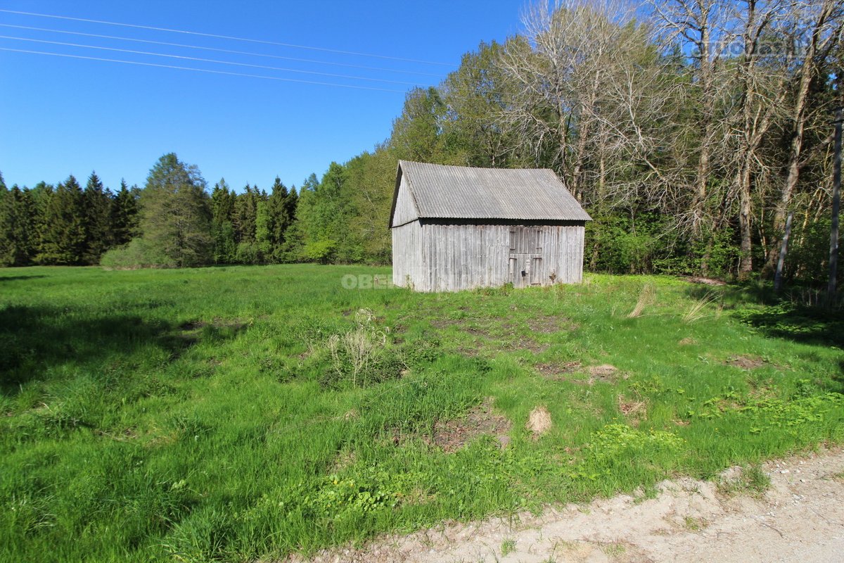 Išskirtinė Vieta Medžių Apsuptyje, 450 m Iki - nuotraukos Nr. 18