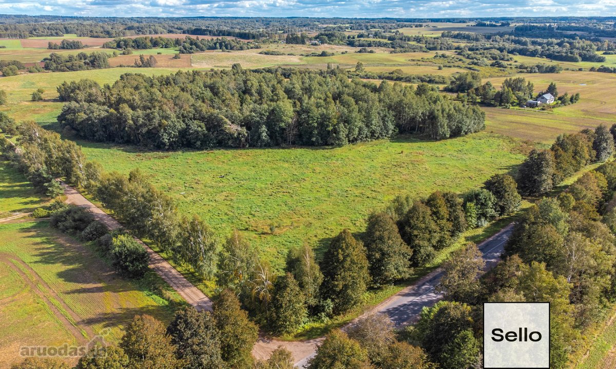  – Nt ekspertai be procentų - nuotraukos Nr. 4