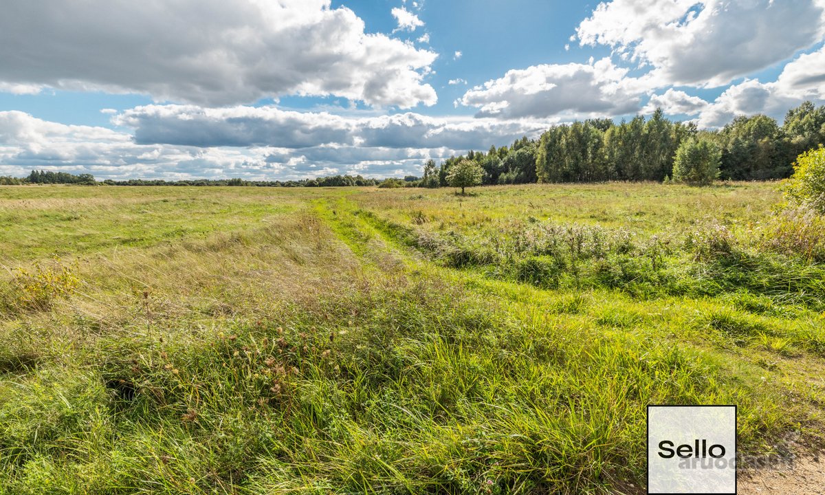  – Nt ekspertai be procentų - nuotraukos Nr. 6