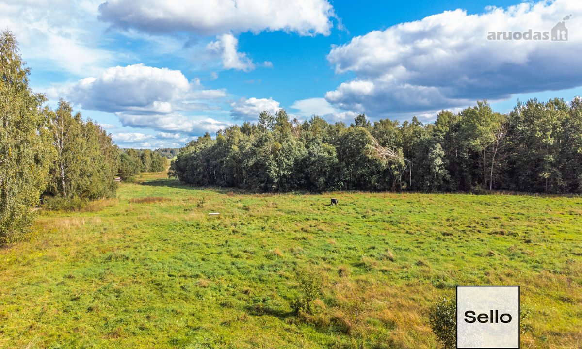  – Nt ekspertai be procentų - nuotraukos Nr. 8