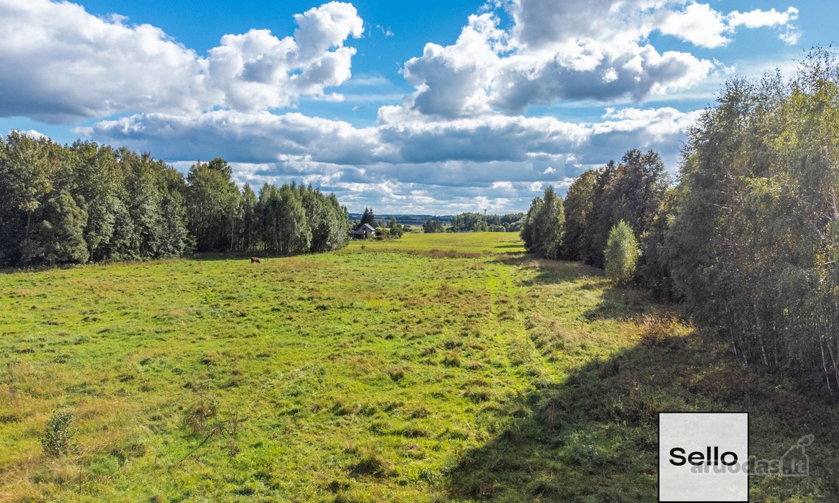  – Nt ekspertai be procentų - nuotraukos Nr. 9