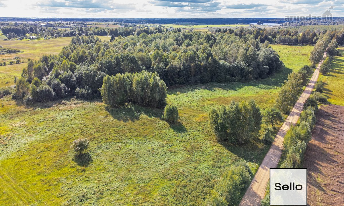  – Nt ekspertai be procentų - nuotraukos Nr. 12