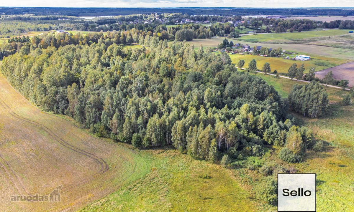  – Nt ekspertai be procentų - nuotraukos Nr. 21