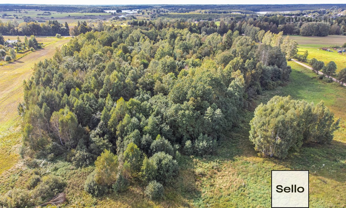  – Nt ekspertai be procentų - nuotraukos Nr. 22