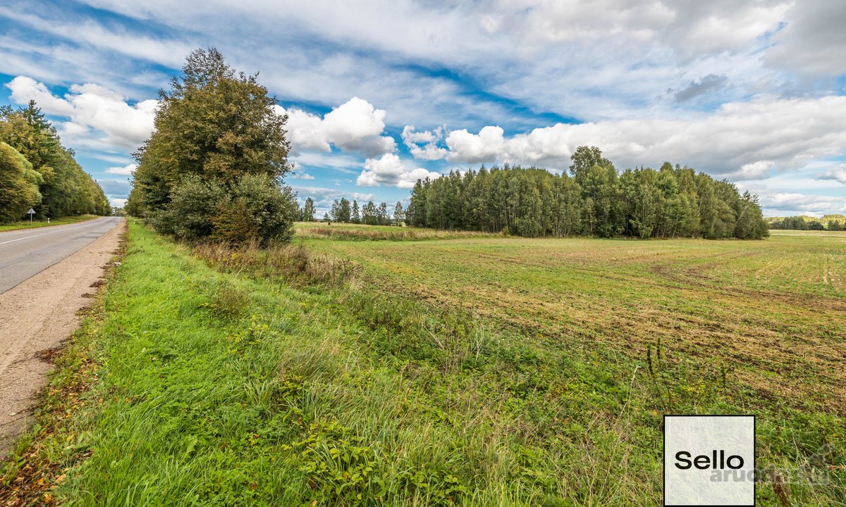  – Nt ekspertai be procentų - nuotraukos Nr. 25