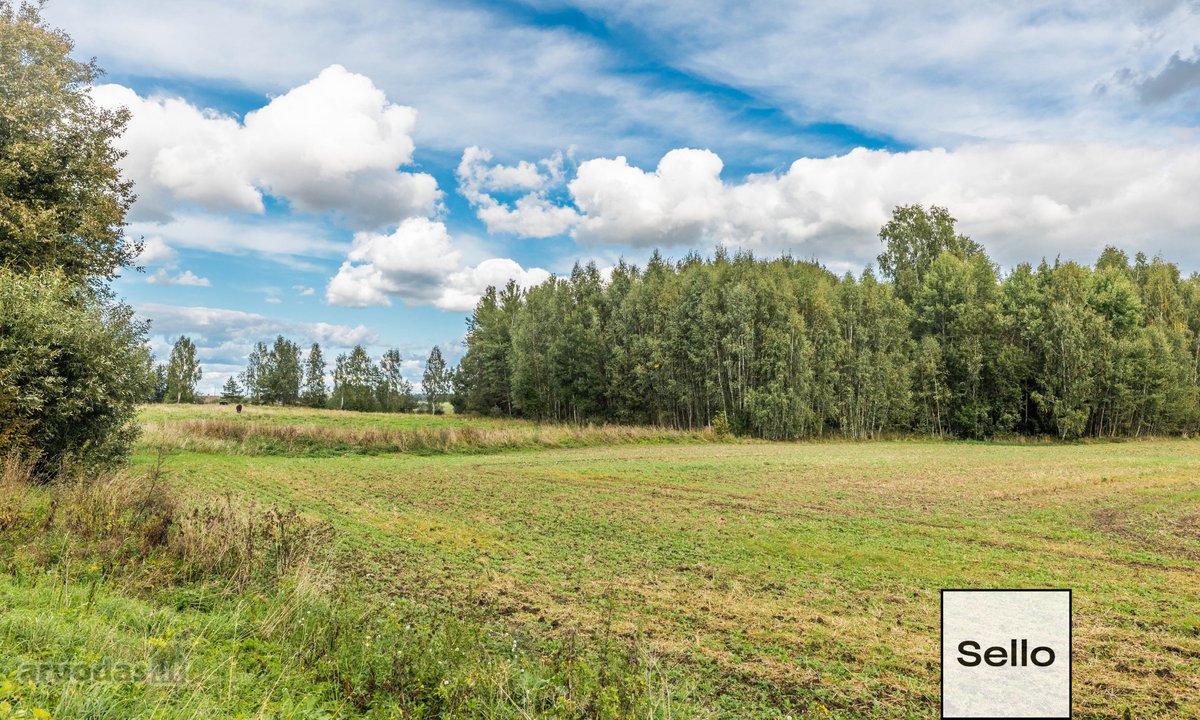  – Nt ekspertai be procentų - nuotraukos Nr. 26