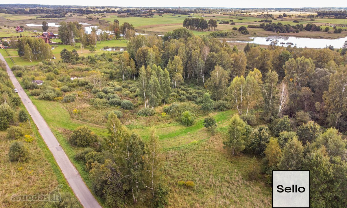  – Nt ekspertai be procentų - nuotraukos Nr. 13