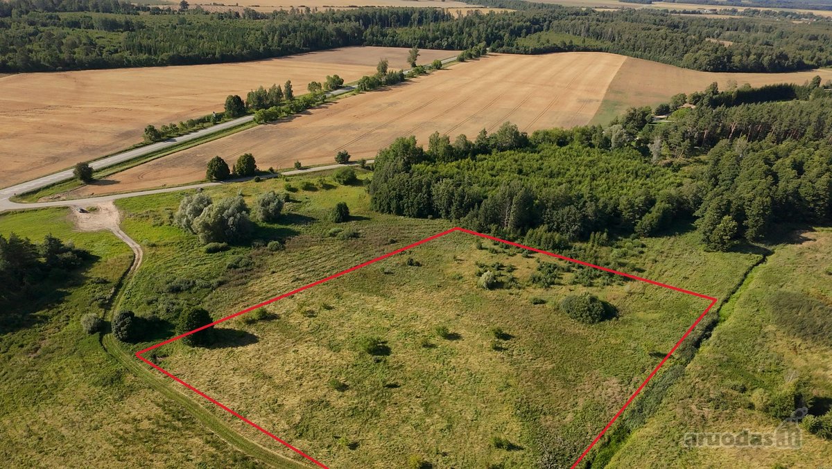 Parduodamas 1,35 Ha Žemės Ūkio Paskirties - nuotraukos Nr. 2