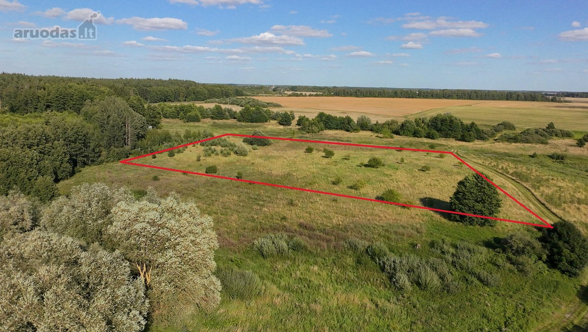Parduodamas 1,35 Ha Žemės Ūkio Paskirties - nuotraukos Nr. 3