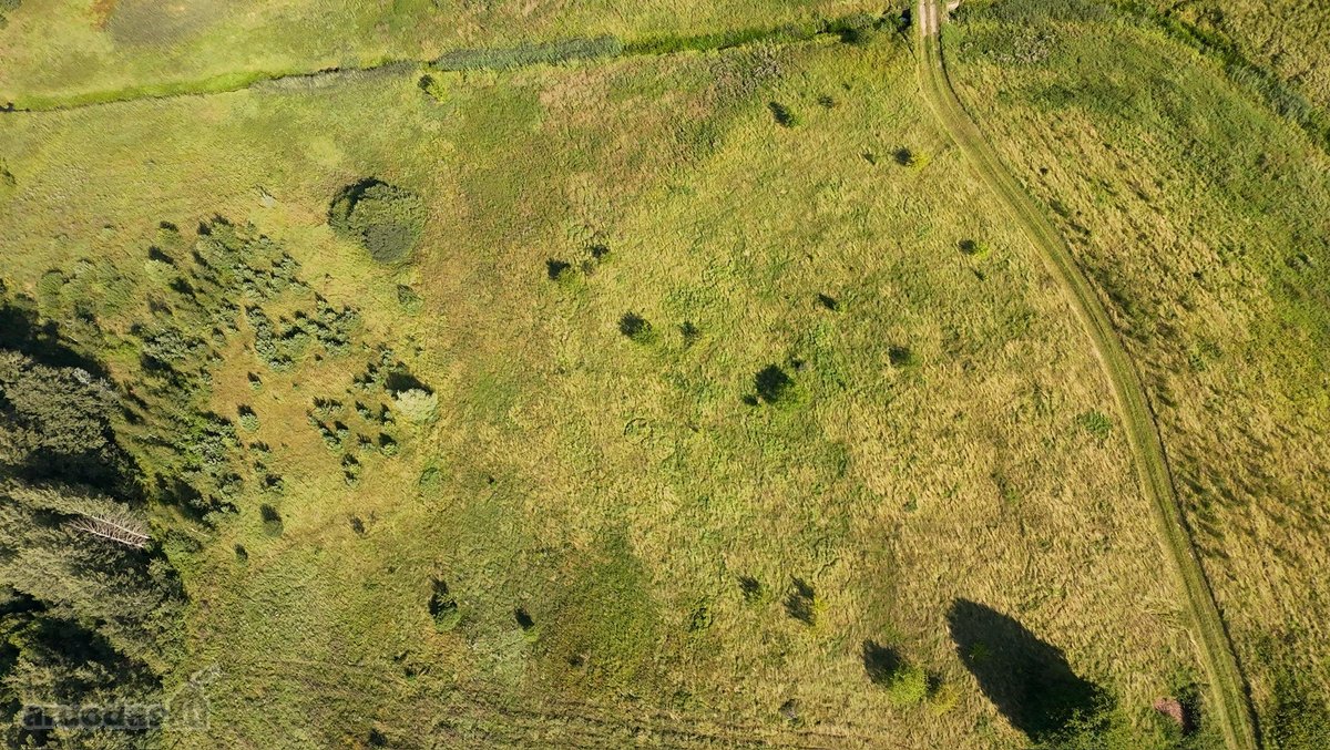Parduodamas 1,35 Ha Žemės Ūkio Paskirties - nuotraukos Nr. 4
