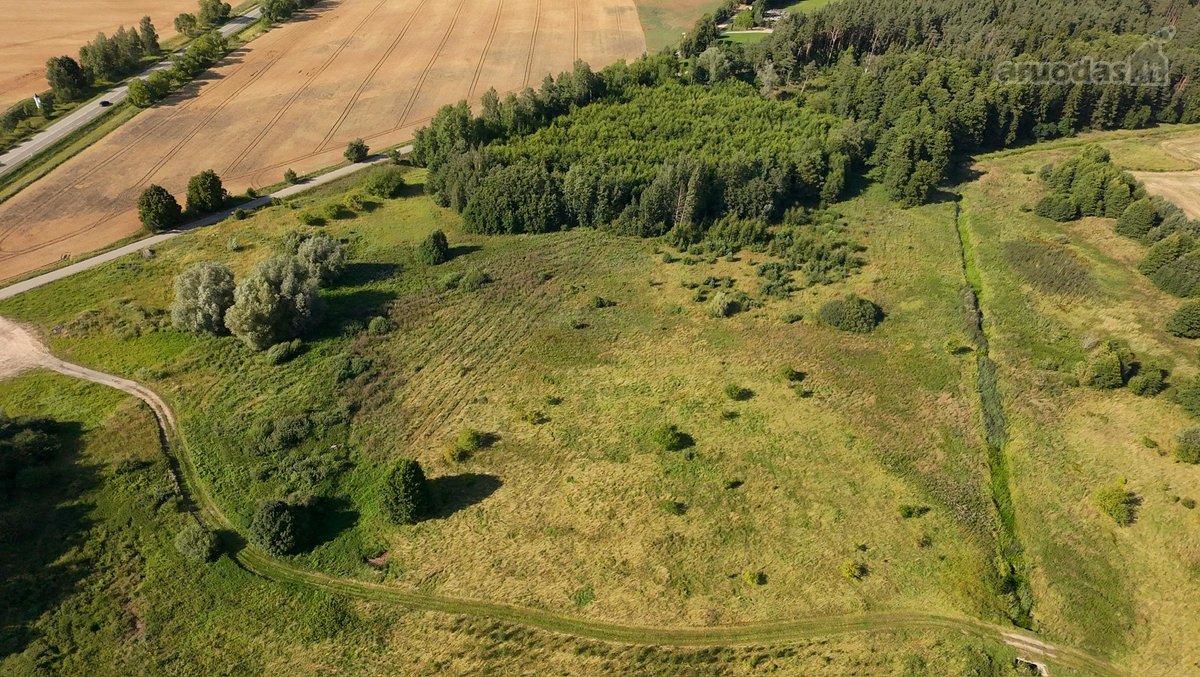 Parduodamas 1,35 Ha Žemės Ūkio Paskirties - nuotraukos Nr. 7