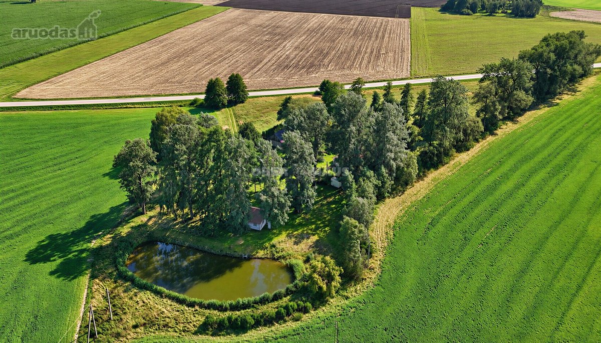Parduodama Erdvi Sodyba Su 2,7168 Ha Žemės - nuotraukos Nr. 9