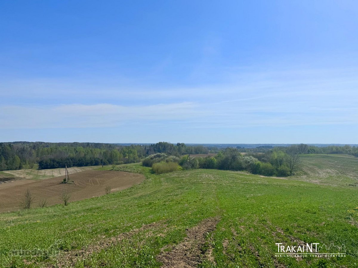 Parduodama 6,32 Ha Žemės Ūkio Paskirties Žemė - nuotraukos Nr. 5