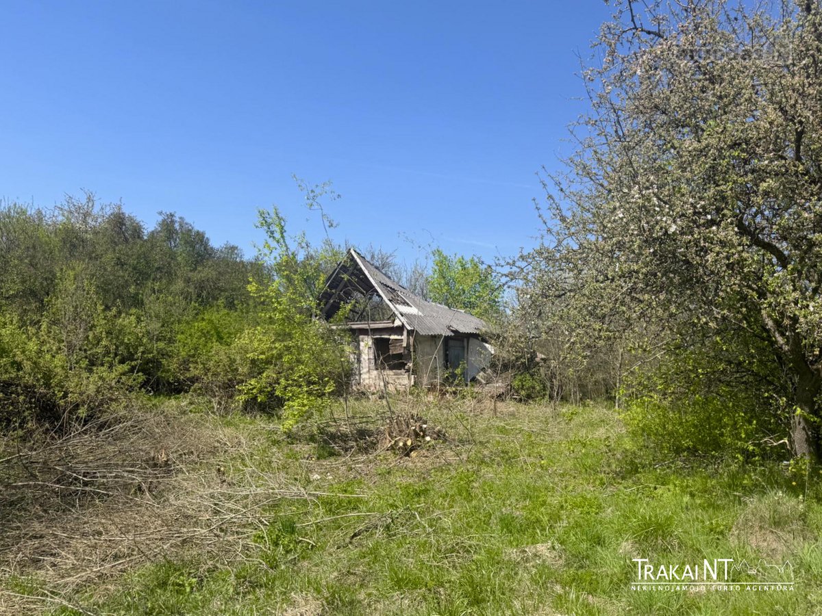 Parduodama 6,32 Ha Žemės Ūkio Paskirties Žemė - nuotraukos Nr. 8