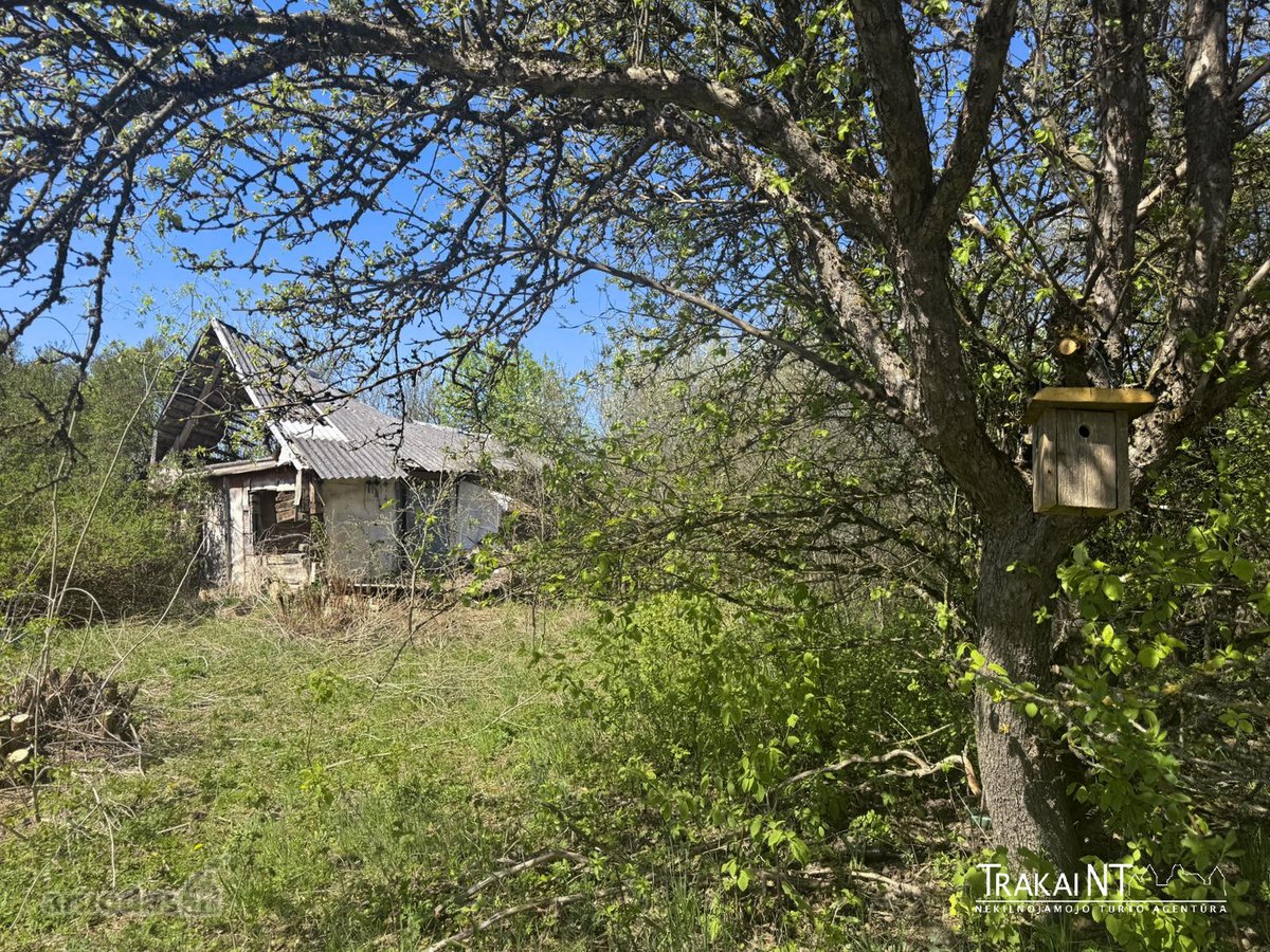 Parduodama 6,32 Ha Žemės Ūkio Paskirties Žemė - nuotraukos Nr. 9