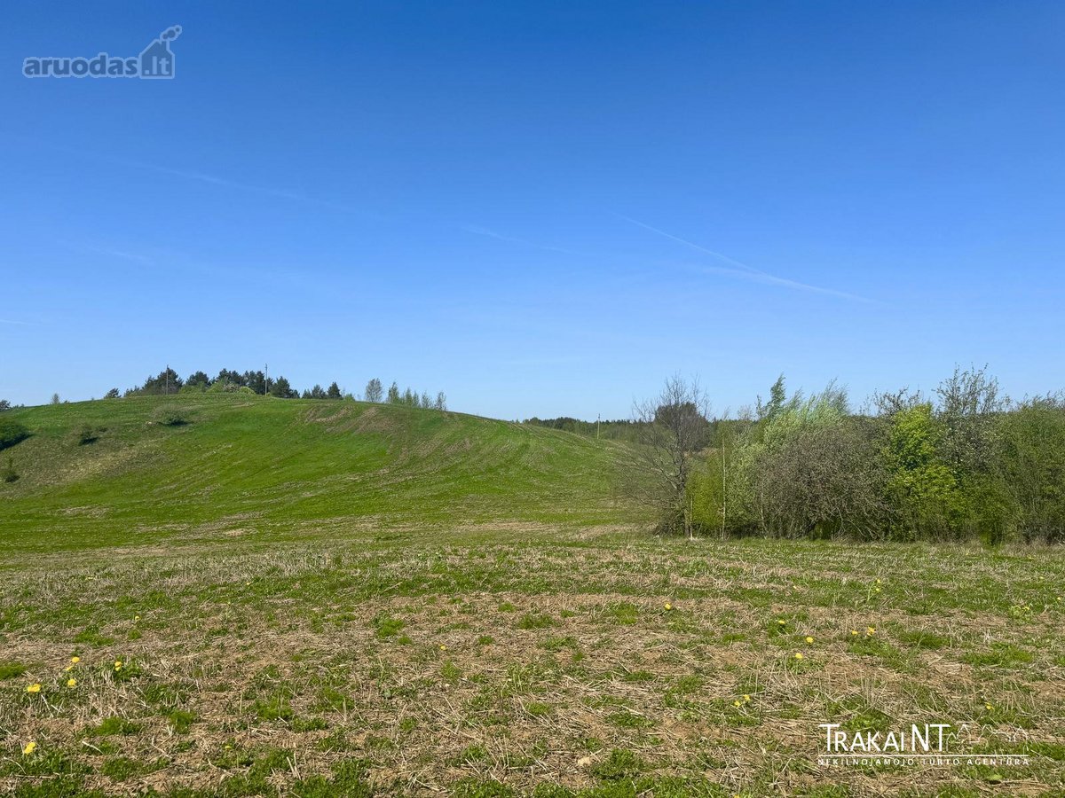 Parduodama 6,32 Ha Žemės Ūkio Paskirties Žemė - nuotraukos Nr. 10